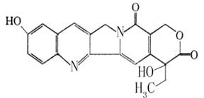 羟喜树碱注射液.jpg