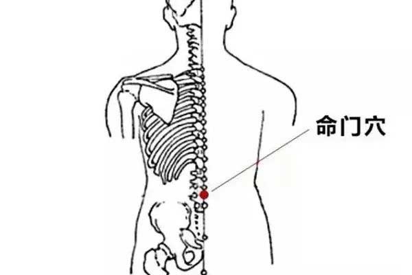 命门穴